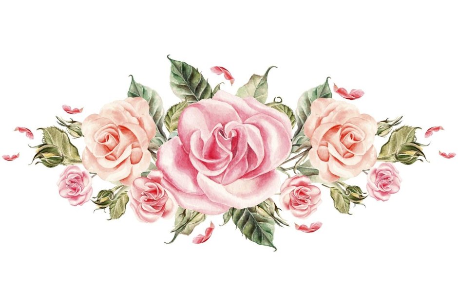 Акварельные цветы розовые