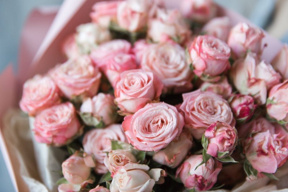 Роза кустовая пионовидная розовая