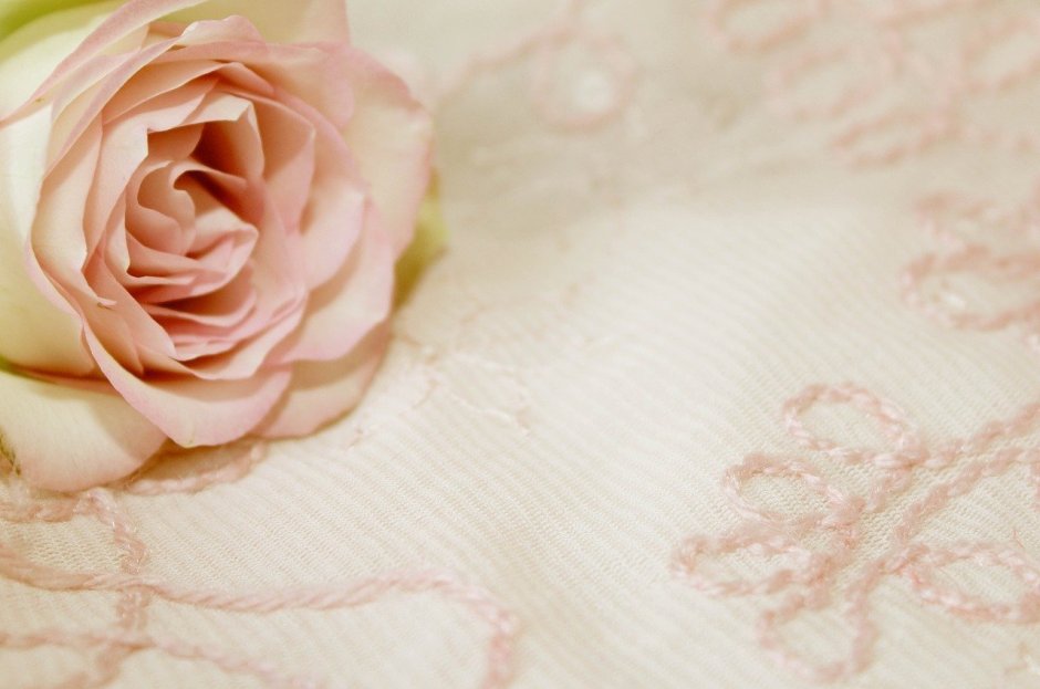 Букет роз айвори свадебный