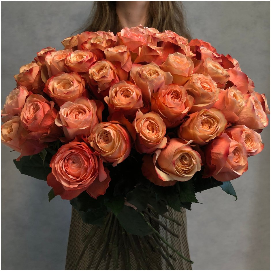 Оранжевые розы Эквадор
