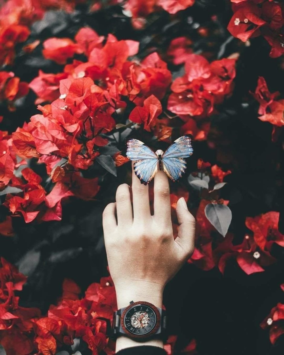 Красный цветок в руке
