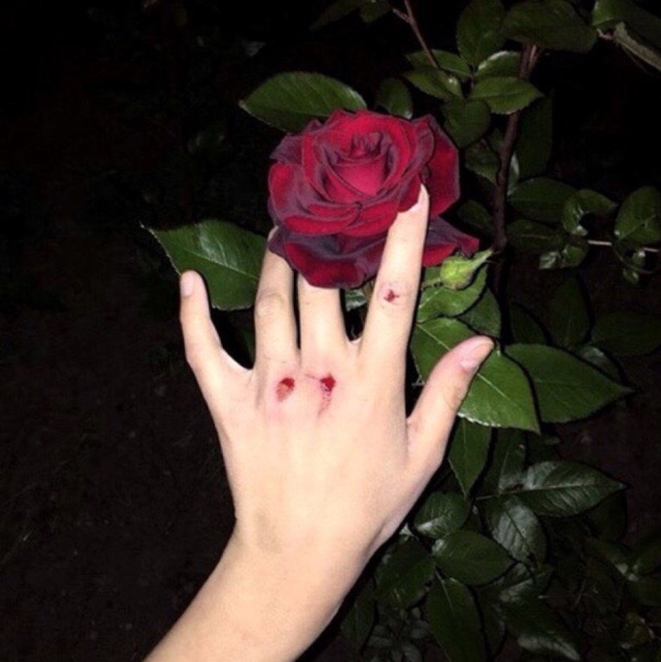 Девушка с розой в руках