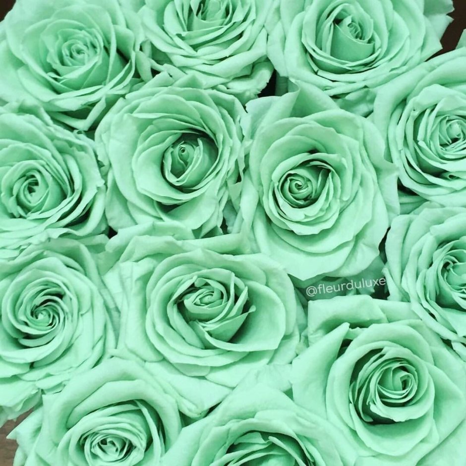 Мятный зеленый / Mint Green цвет