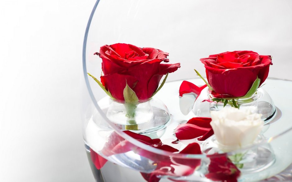 Красные розы в белой вазе