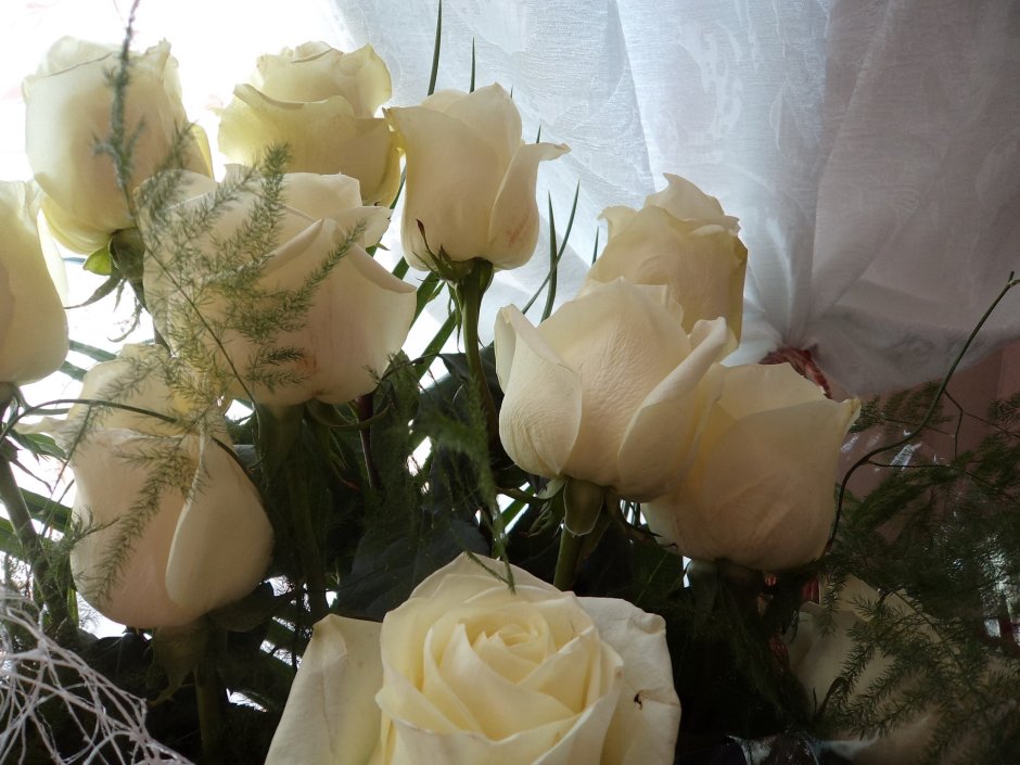 Белые розы на подоконнике