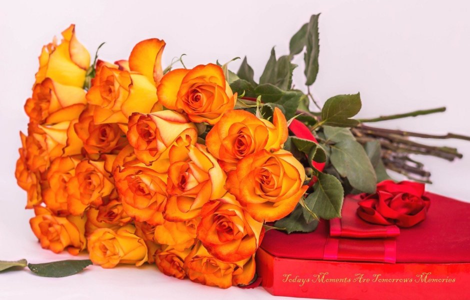 Красивые желто оранжевые розы