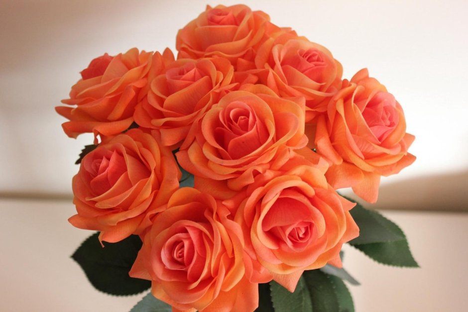 Персико оранжевая роза