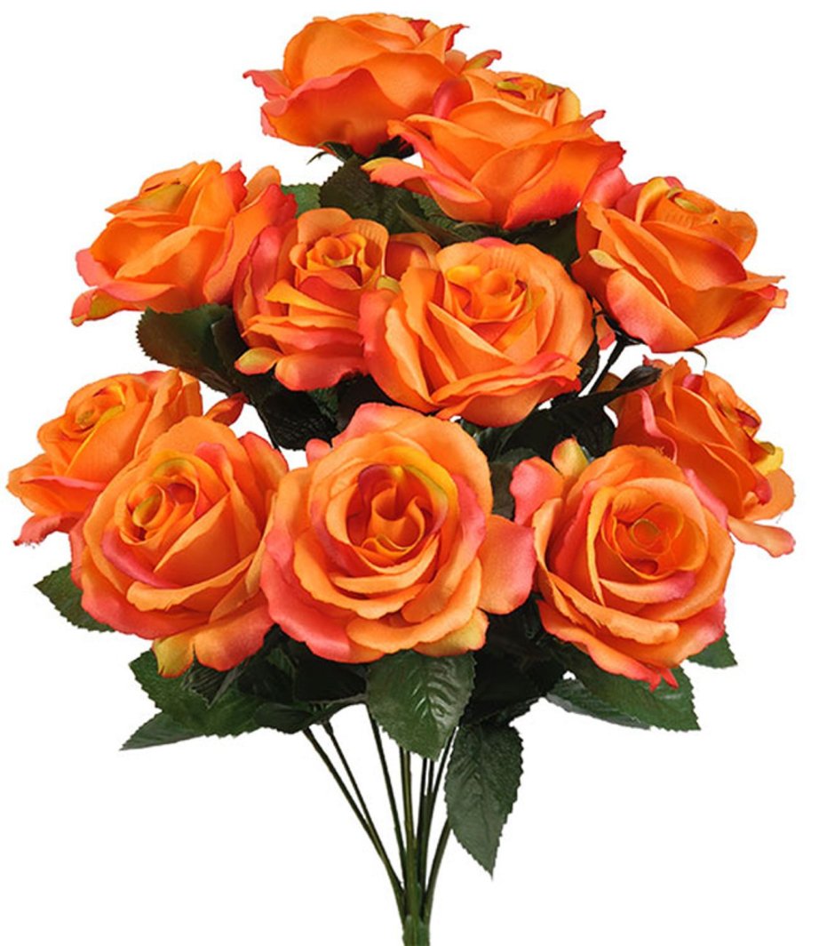 Роза оранжевая Барбара