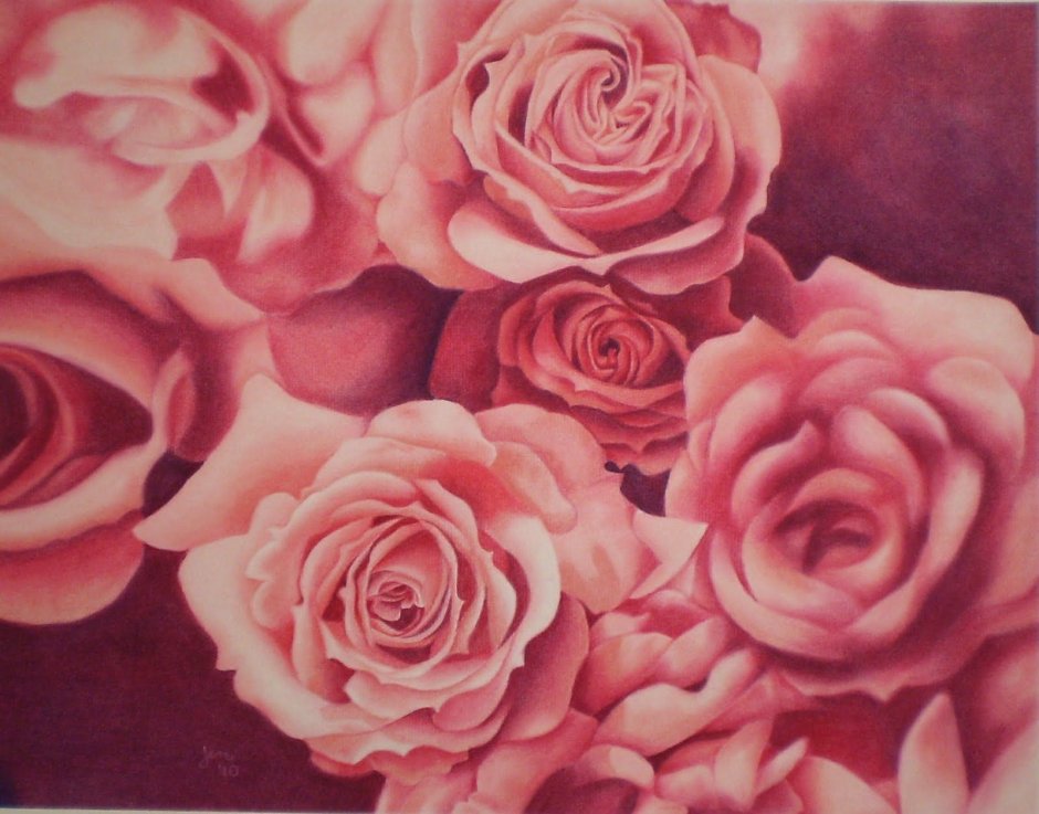 Розовые цветы розы арт