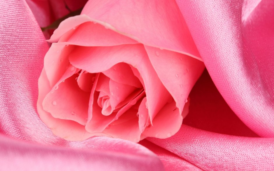 Классические обои Акварельные розовые без рисунка