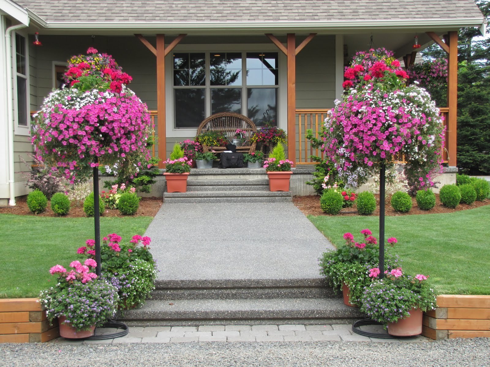 Красивые цветы перед домом. Цветы перед домом. Цветы во дворе. Цветник перед домом. Цветы в горшках во дворе.