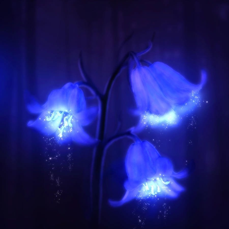Светящиеся цветы в темноте