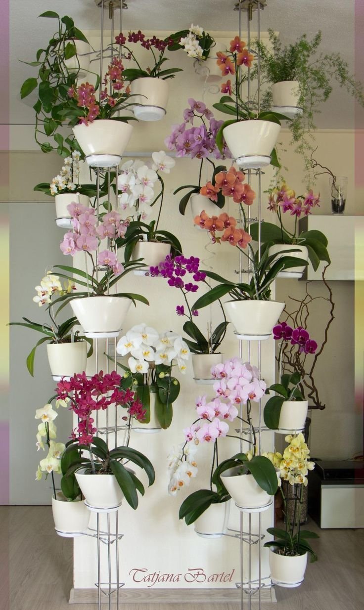 Лоджия в цветах орхидеях