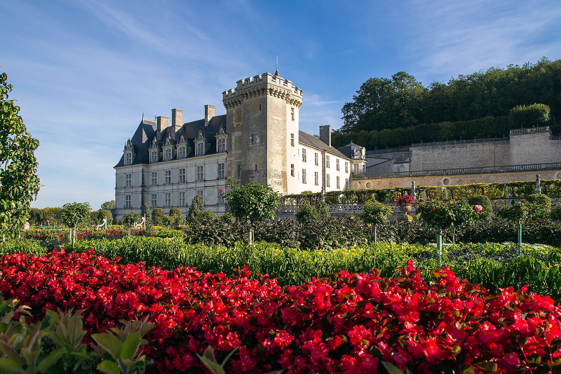 Шато роз. Замки Луары Франция Villandry. Долина Луары Франция осенью. Долина Луары центр виноградники. Долина Луары цветы.