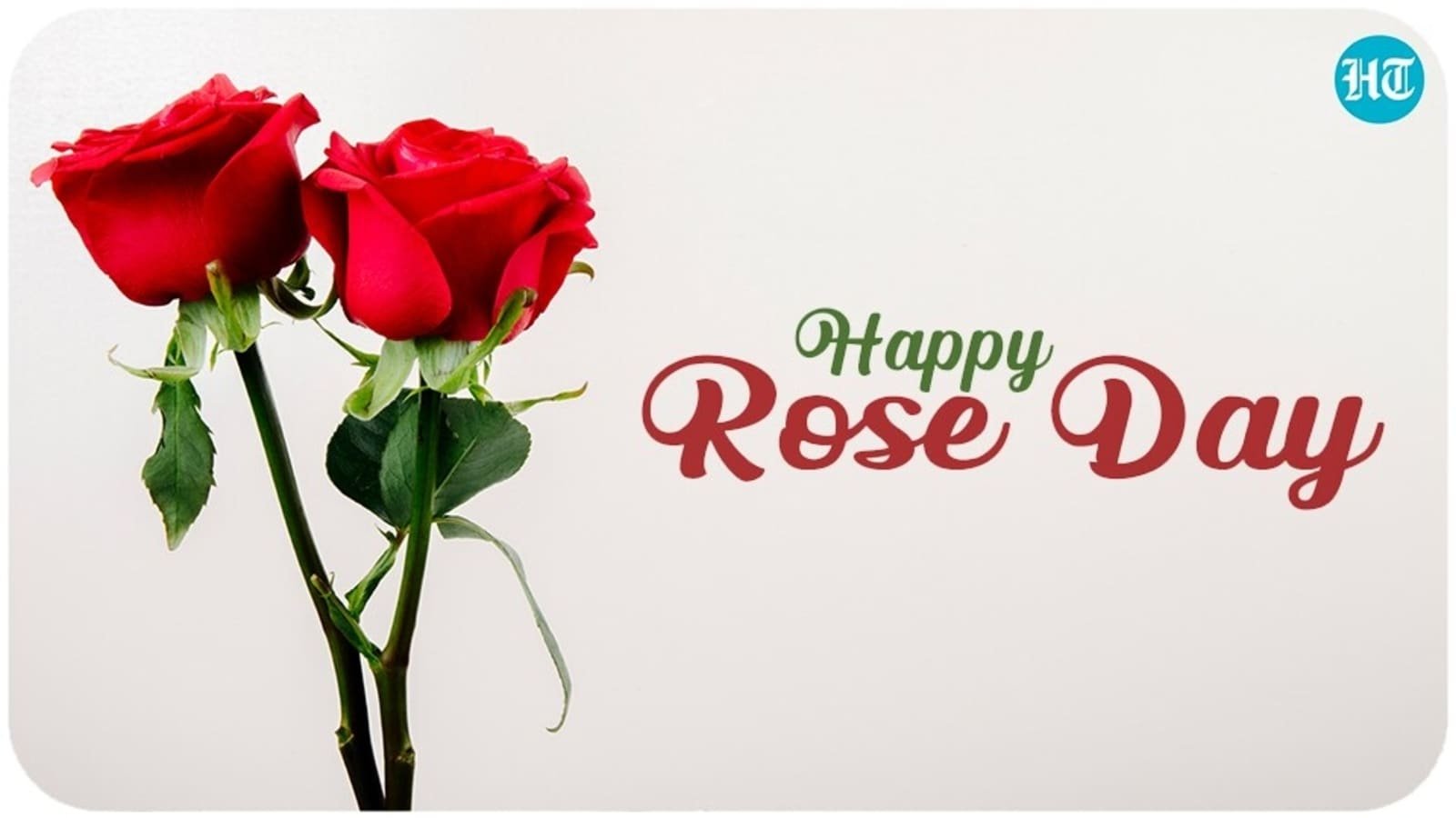 Rose day. Роза Хэппи Руби уэдинс. Wish status.