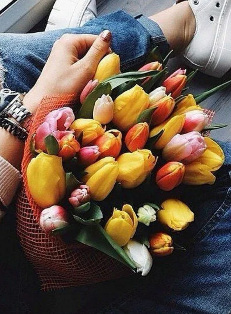 Цветник с тюльпанами