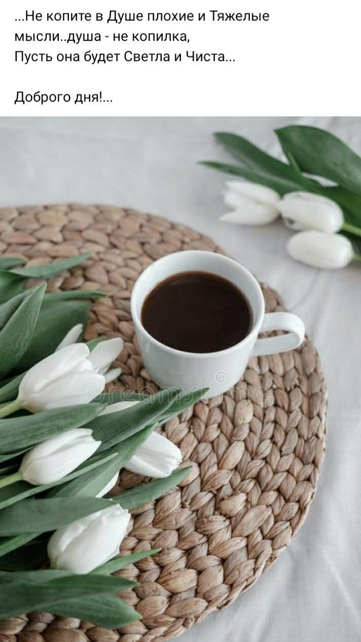 Доброе утро белые тюльпаны