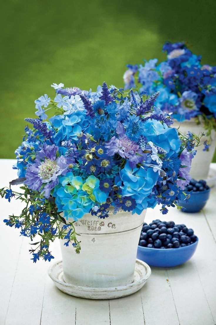 Цветы в голубых тонах