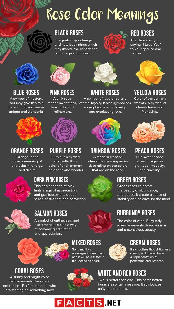 Color Roses and the meaning