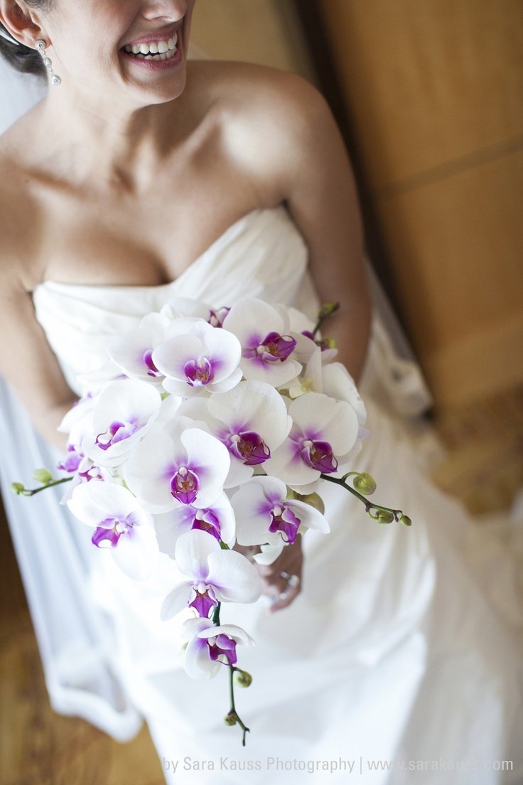 Орхидея невеста