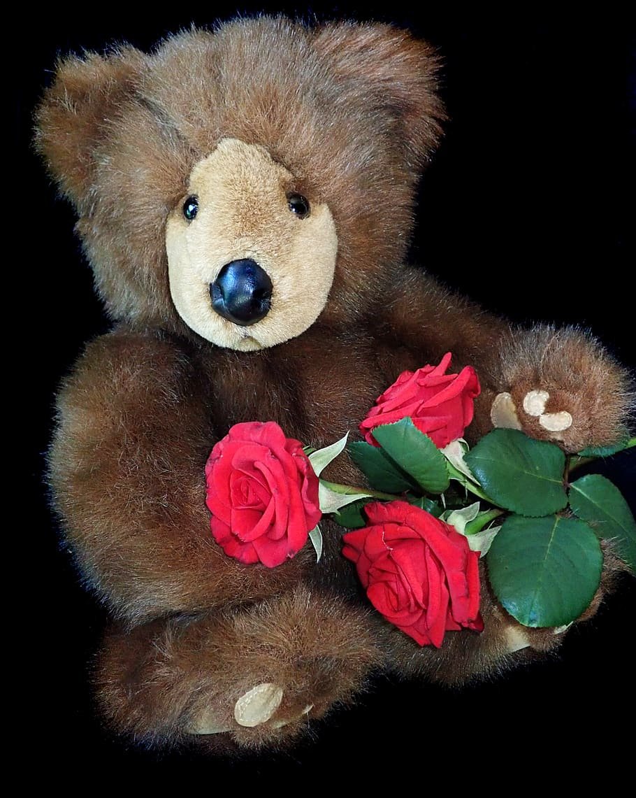 Медвежонок с розами