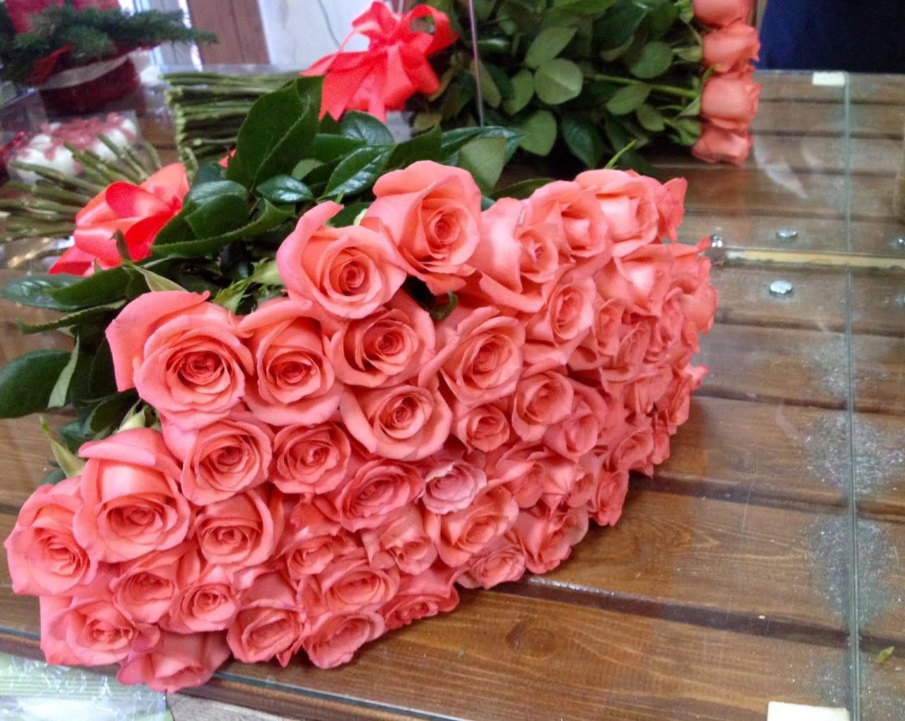 Большие розочки. Коралловые Эквадорские розы. Огромный букет цветов. Букет роз огромный. Красивые большие букеты.