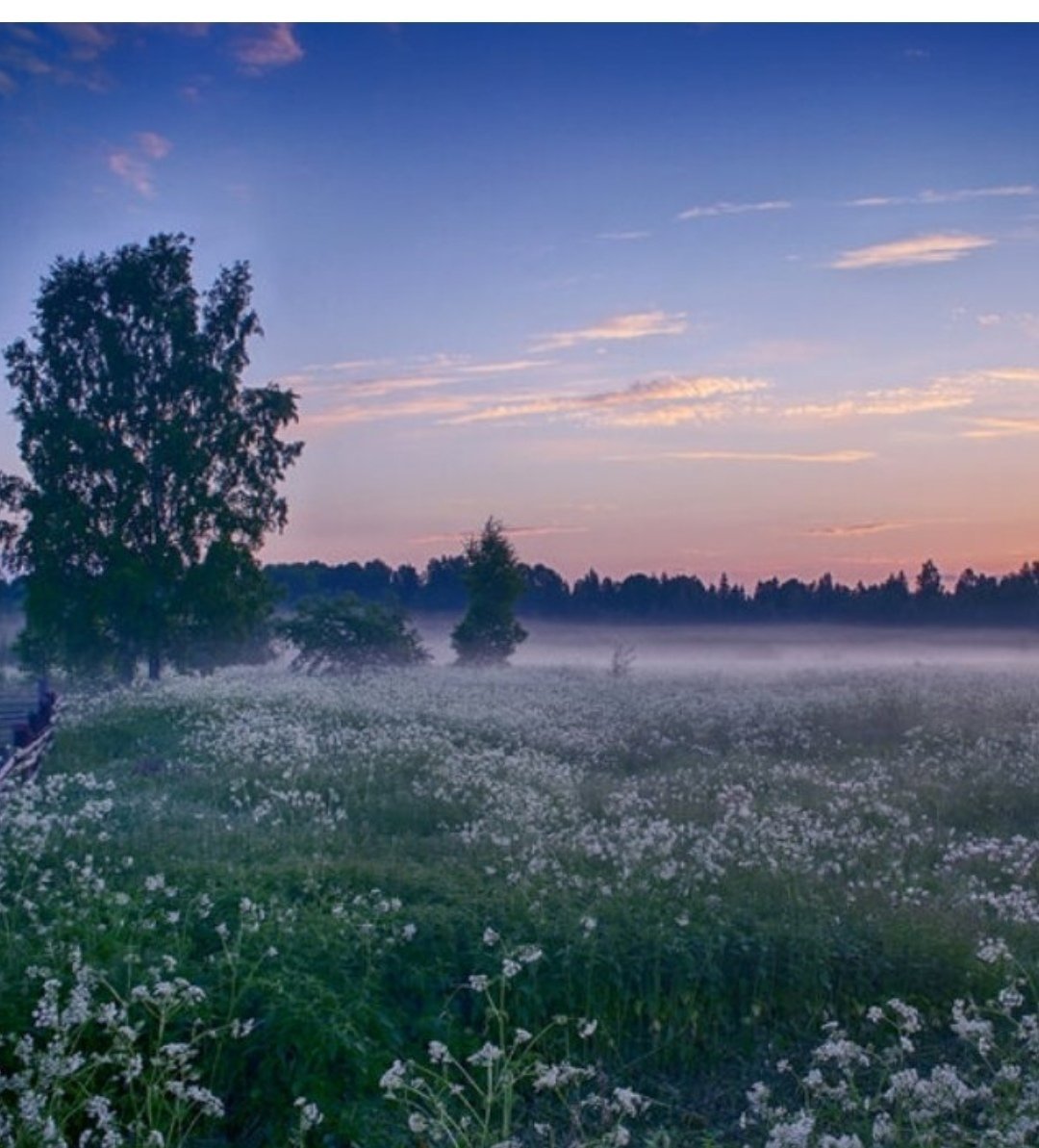 Утренняя зорька