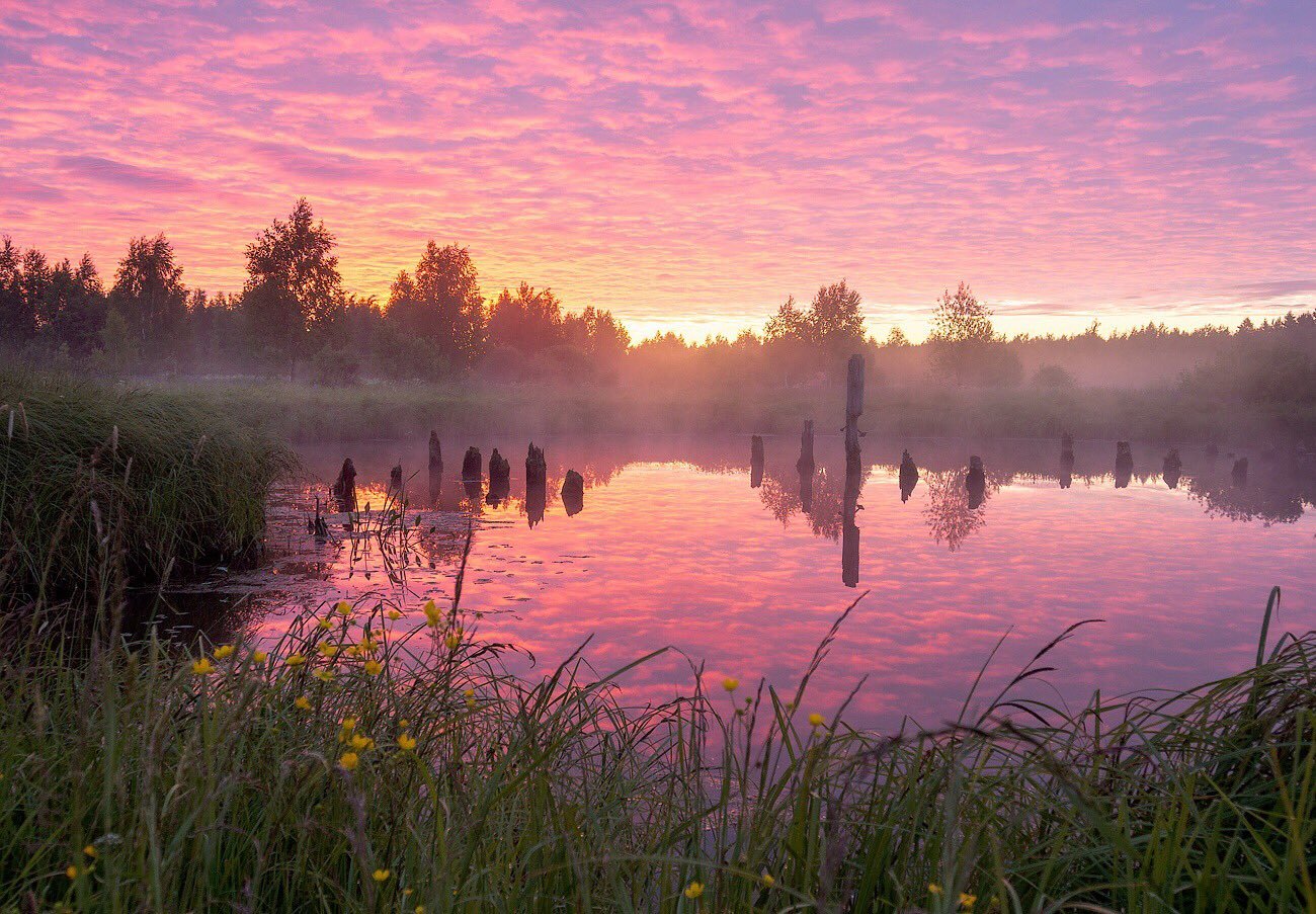 От зари алый свет разливается. Утренний рассвет. Розовый рассвет. Рассвет над озером. Лето озеро рассвет.