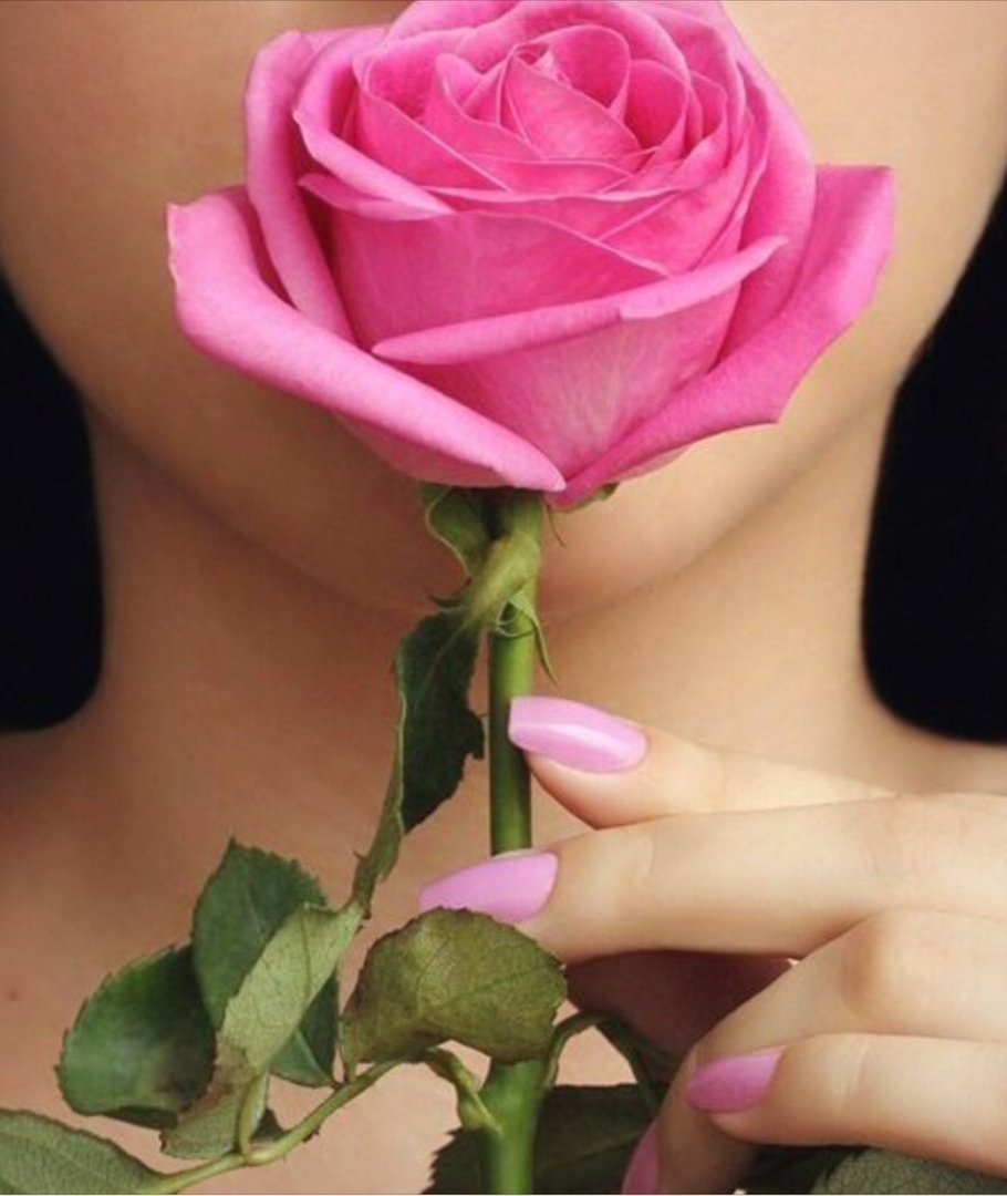 Красивые розы с надписью