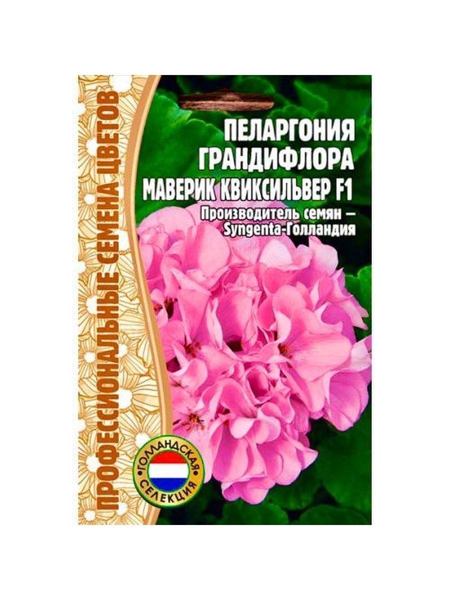 Пеларгония грандифлора Маверик Квиксильвер f1