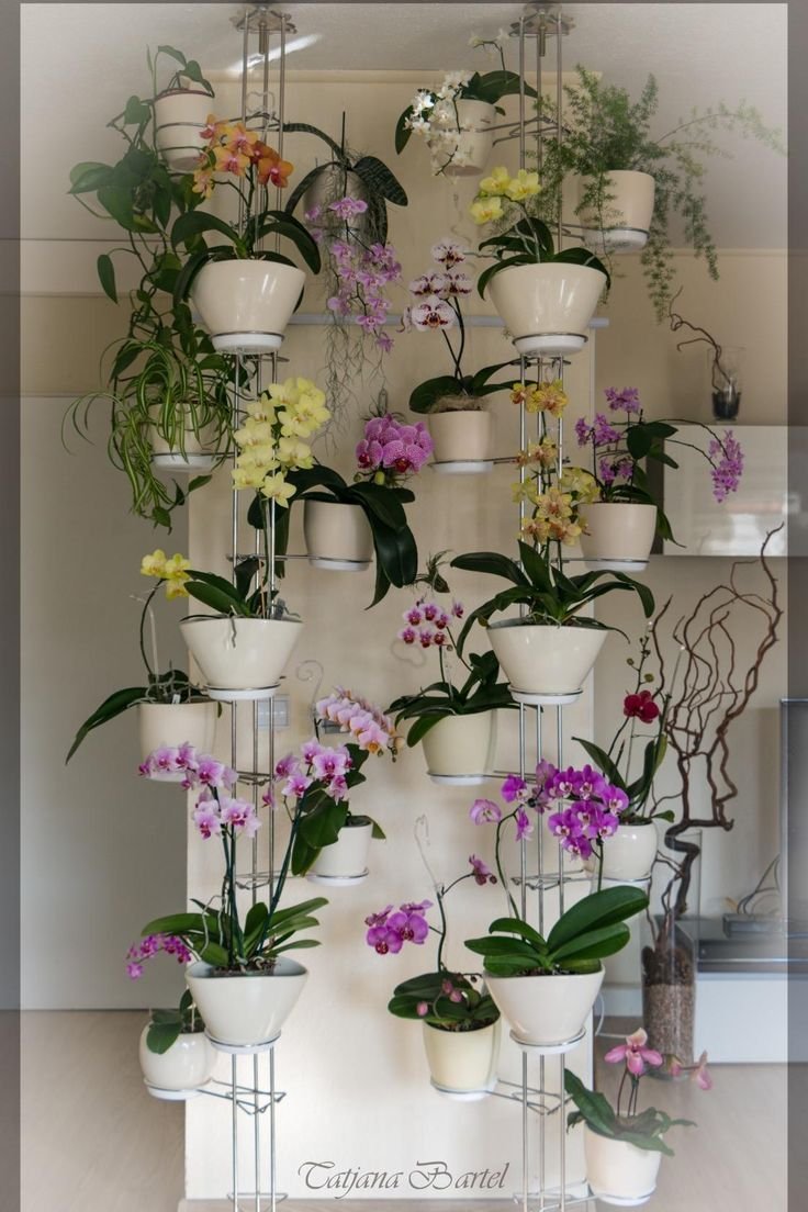 Композиция с орхидеями