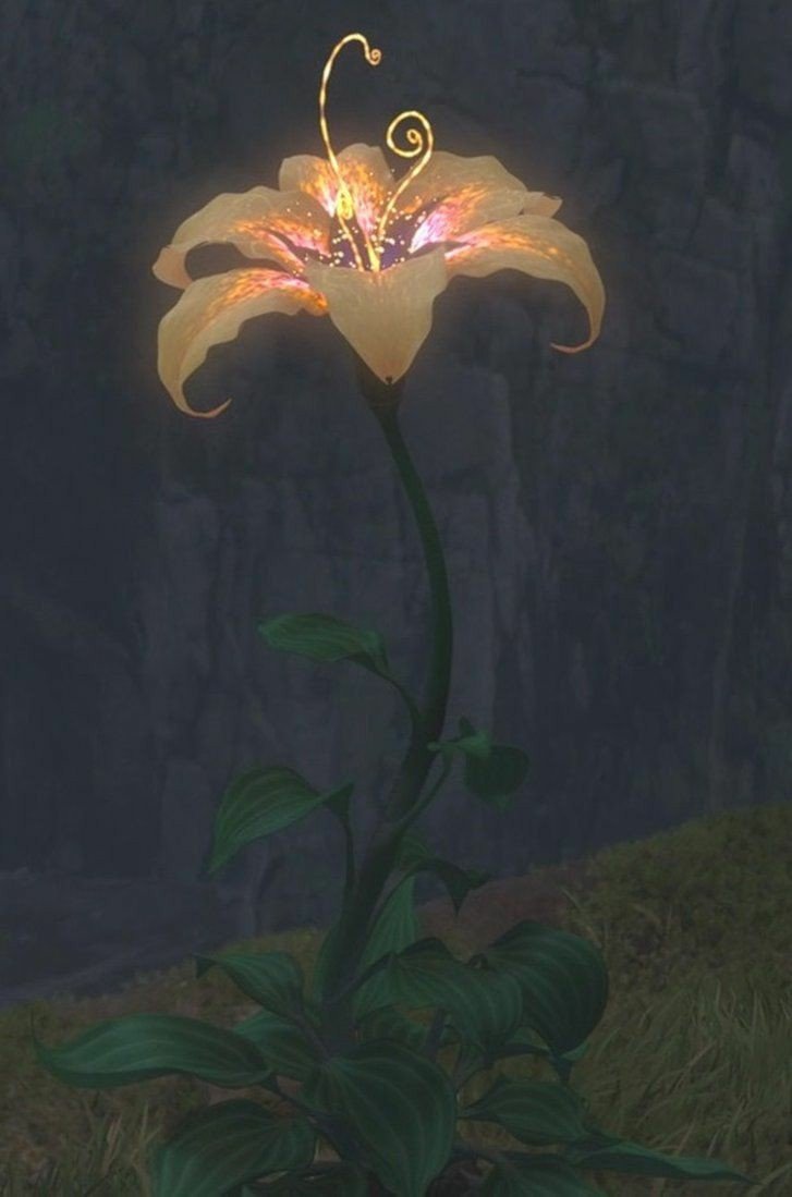 Золотой цветок Рапунцель