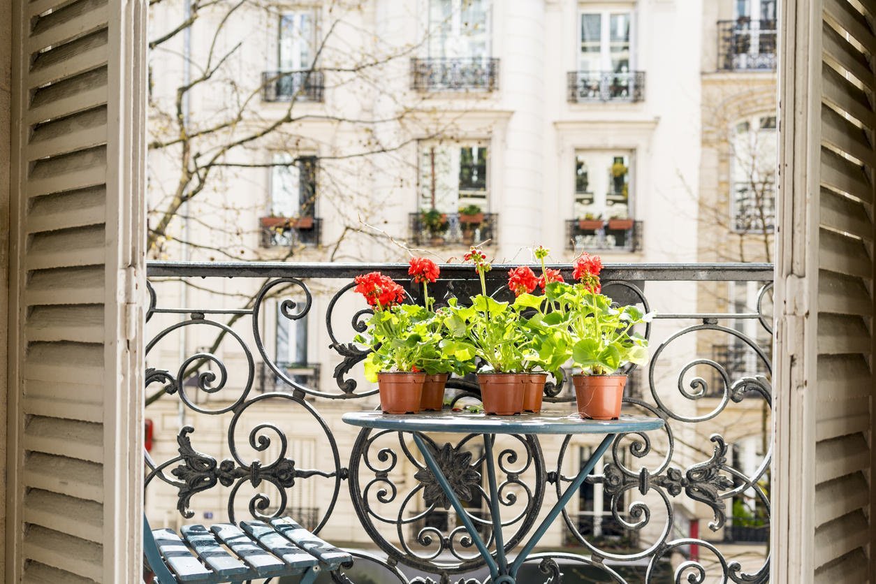 цветы на балконах парижа
