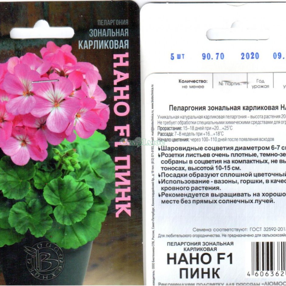 Пеларгония Nano Deep Rose