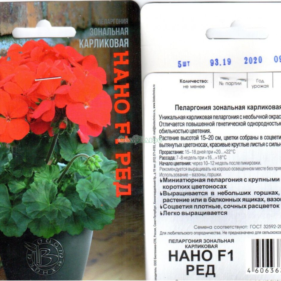 Пеларгония зональная f1 Nano Red