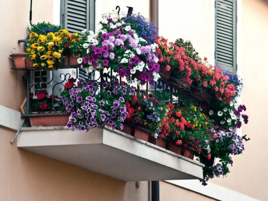 Цветы на подоконнике на улице