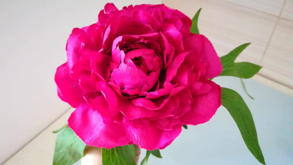 Пионовидные розы 4к