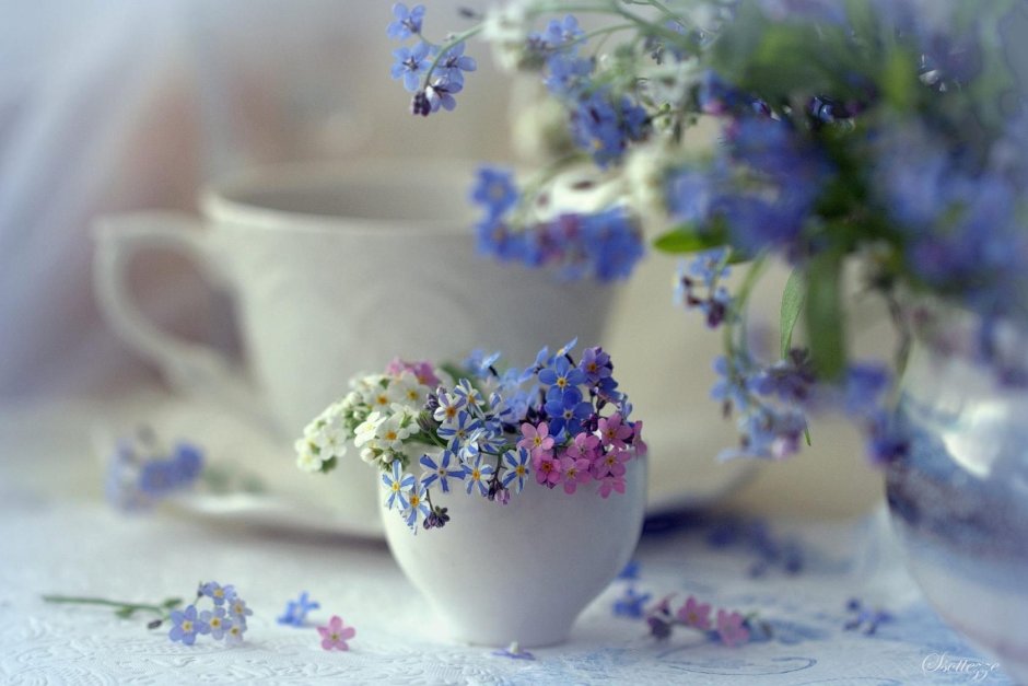 Нежные цветы в чашке
