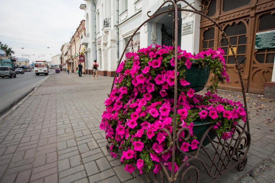 Цветы на улицах города