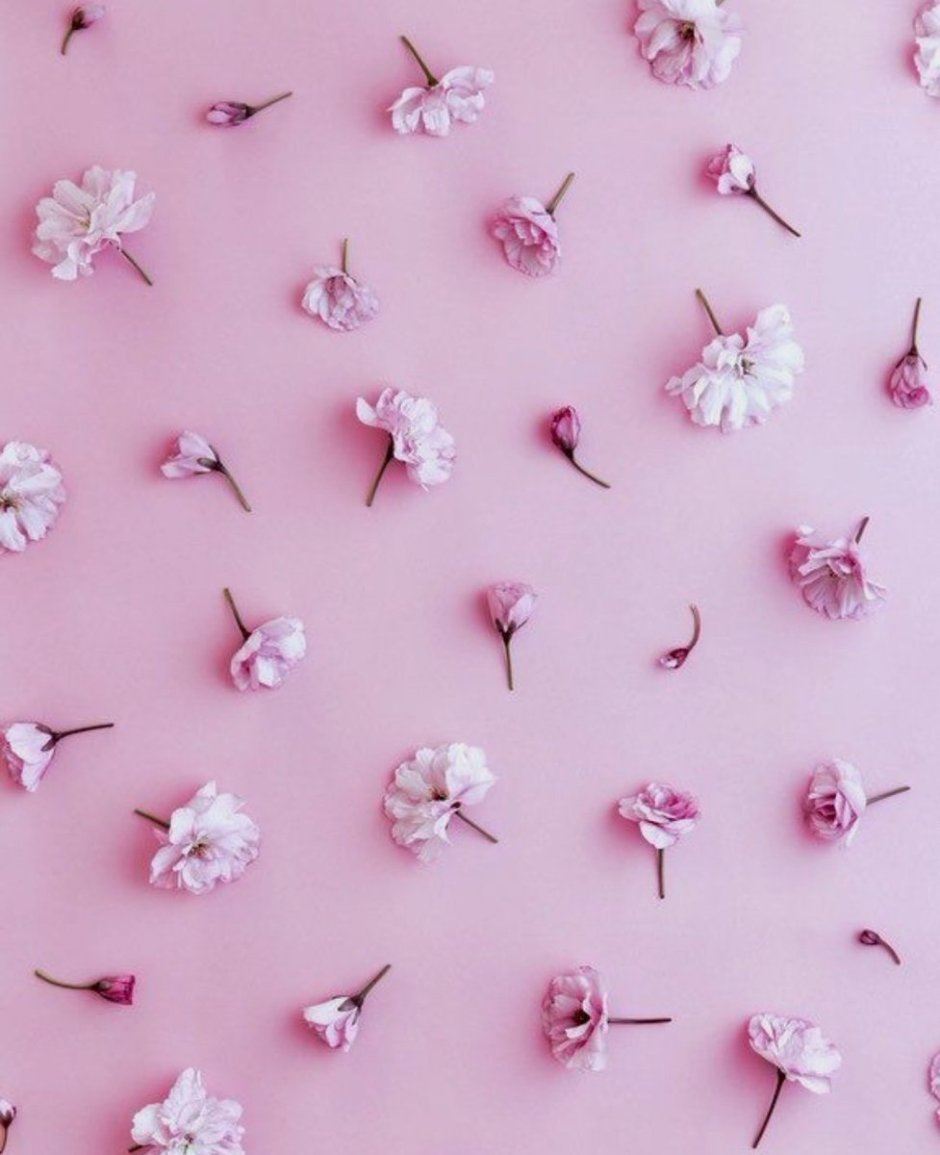 Маленькие цветочки на розовом фоне