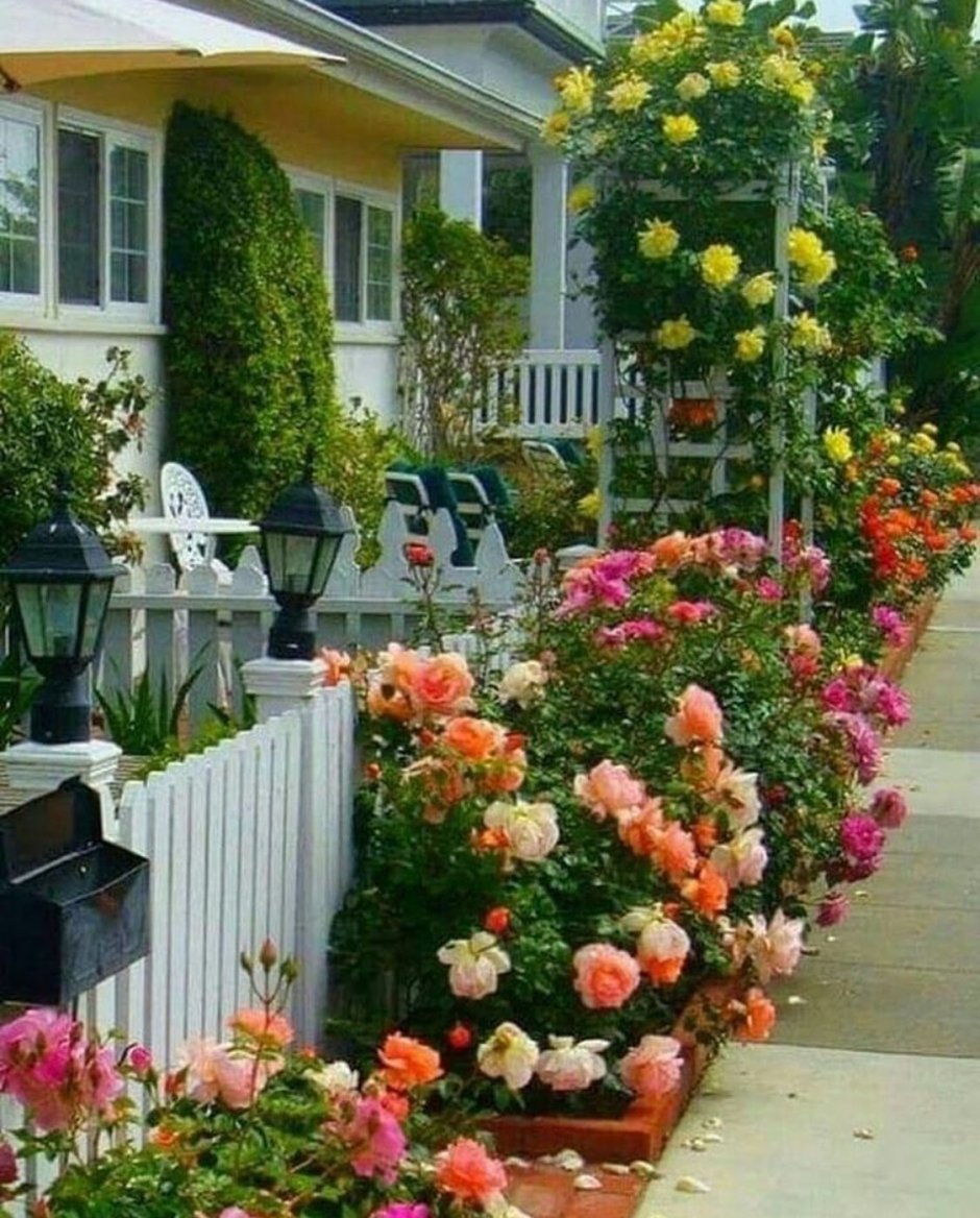 Цветы в палисаднике перед домом