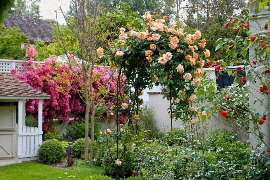 Палисад Франция сады