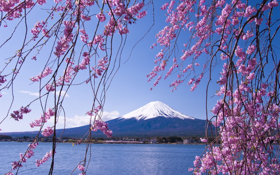 Гора Фудзияма в Японии фото