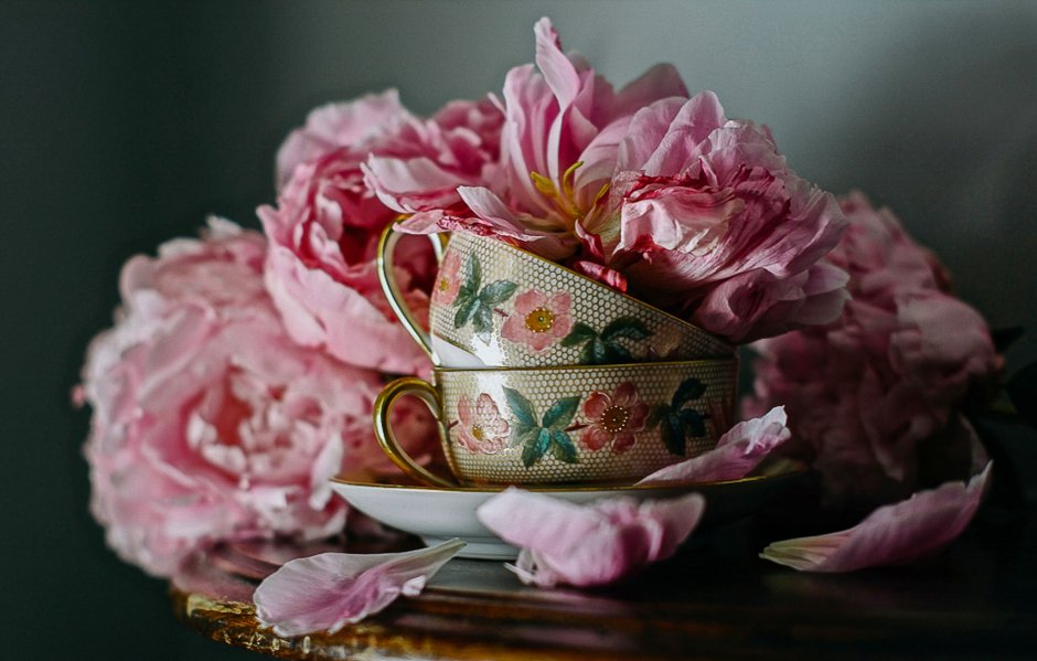 Красивые цветы в чашке
