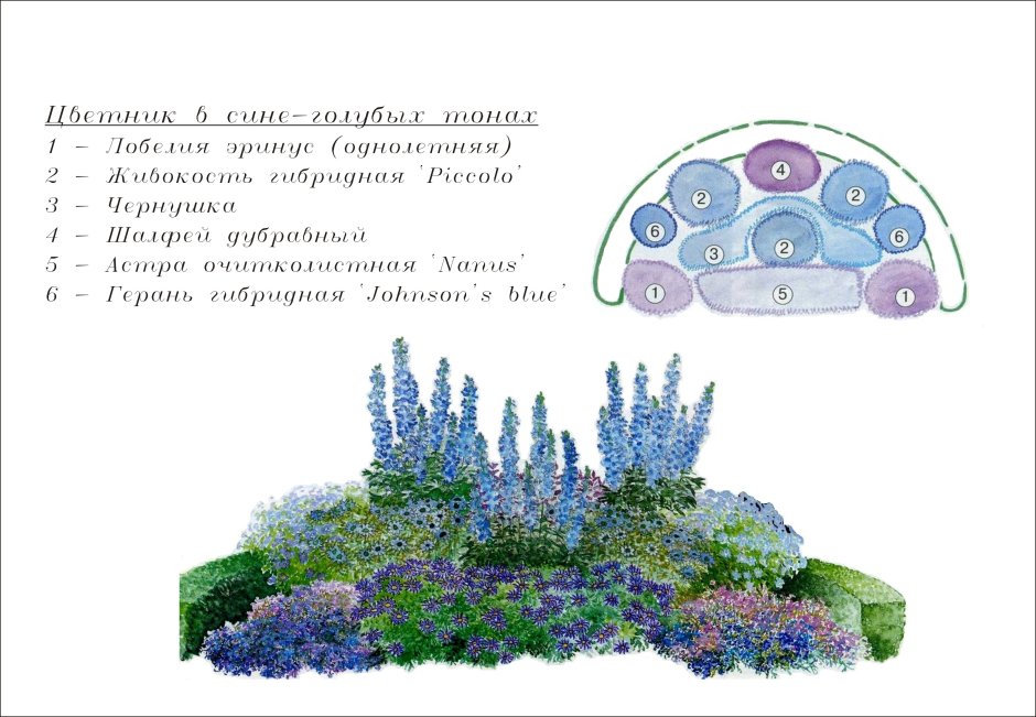 Клумба схематично