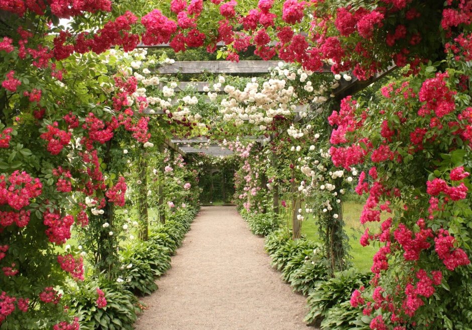 Цветочные арки в саду