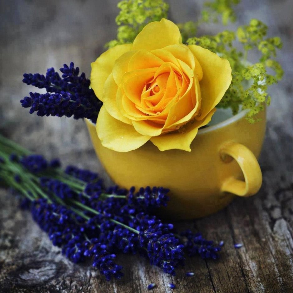 Цветы в желтой чашке