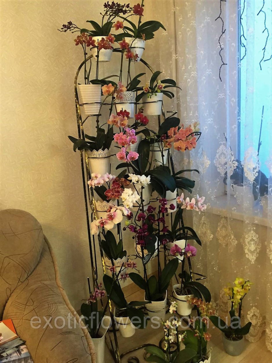 Стойки для орхидей напольные