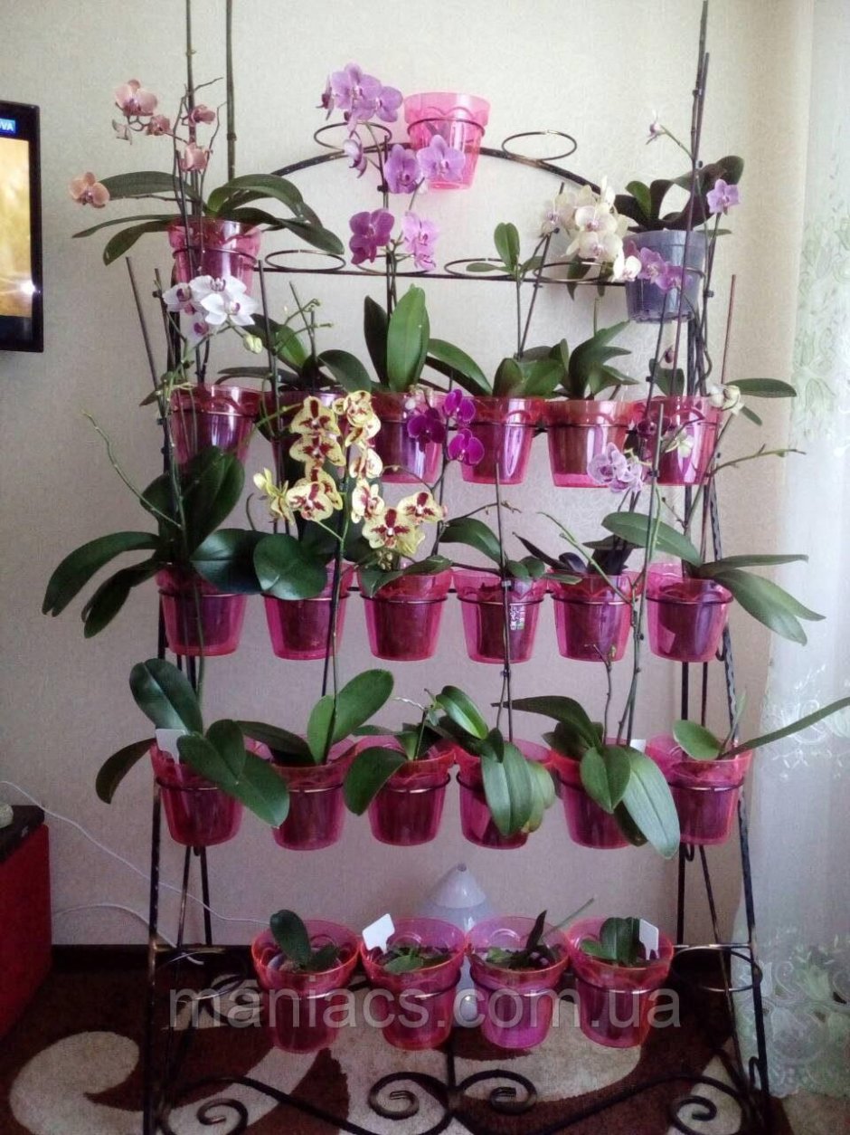 Полки для орхидей