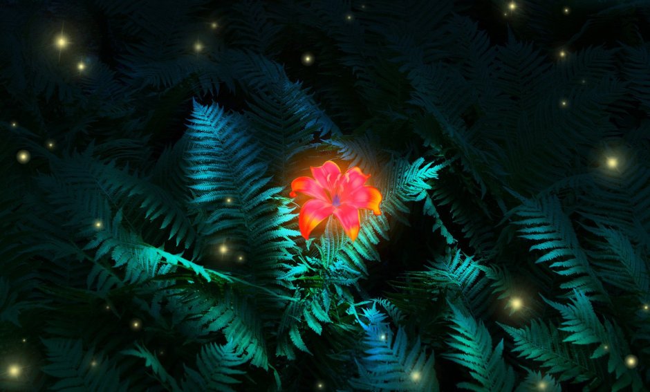 Цветок папоротника на Ивана Купала